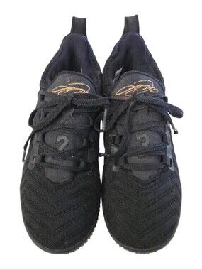 Nike Lebron James 16 XVI "Im King" Sneakers